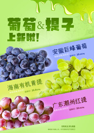 葡萄海报