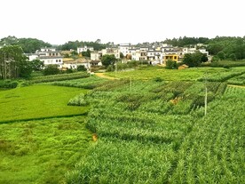 小村庄
