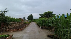 乡村小路