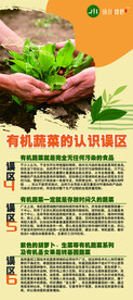 有机与普通蔬菜的误区