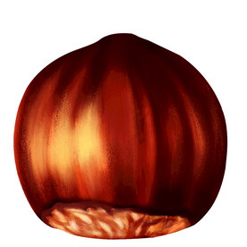 榛子