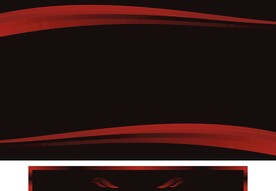 飘带 对称镜像花