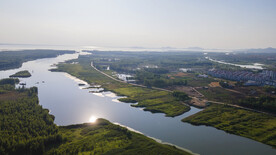 东平湖湿地