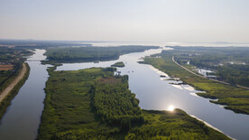 东平湖湿地