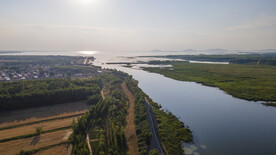 东平湖湿地