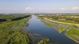 东平湖湿地