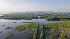 东平湖湿地