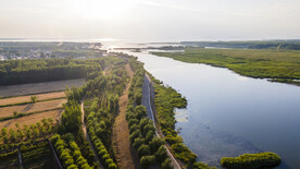 东平湖湿地