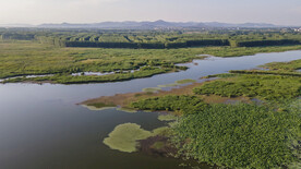 东平湖湿地