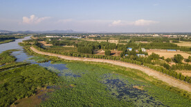 东平湖湿地