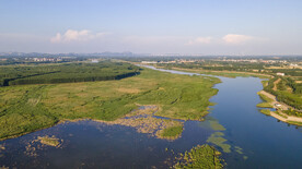 东平湖湿地