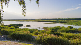 东平湖湿地