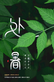 清新传统二十四节气处暑海报