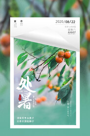 清新绿色柿子摄影图处暑海报