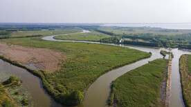 东平湖湿地