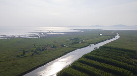 东平湖湿地