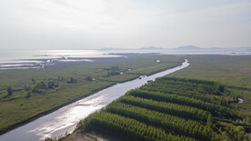东平湖湿地