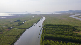 东平湖湿地 
