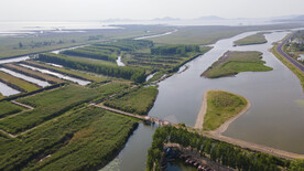 东平湖湿地