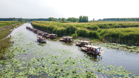 东平湖湿地