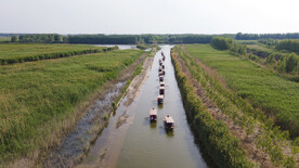 东平湖湿地