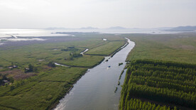 东平湖湿地