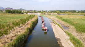 东平湖湿地