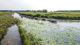 东平湖湿地
