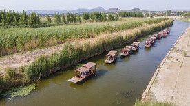 东平湖湿地