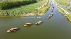 东平湖湿地