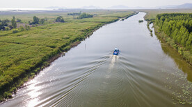 东平湖湿地