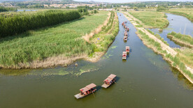 东平湖湿地 