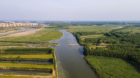 东平湖湿地