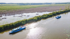 东平湖湿地