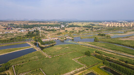 东平湖湿地