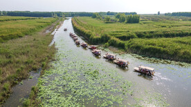 东平湖湿地