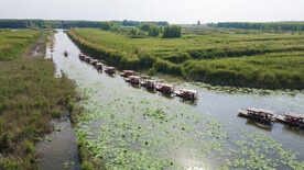 东平湖湿地