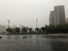 雨后 