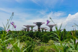 新加坡 城市 滨海 建筑 