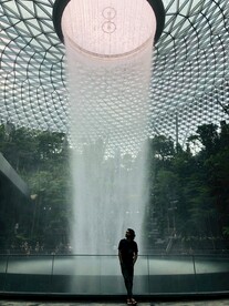 新加坡 城市 滨海 建筑 园林