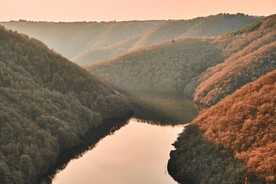 深山野林山水