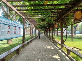 康百万庄园 300年葡萄
