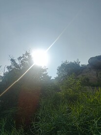 下午的太阳
