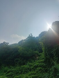 山外山