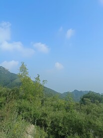 山中云