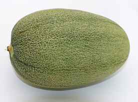 哈密瓜