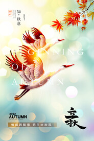 简约大气二十四节气立秋宣传海报