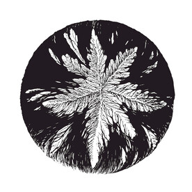 贝塞尔 曲线 摩尔纹 科技风 