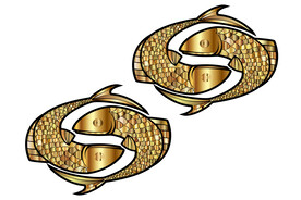 金色鱼两个