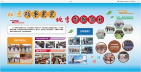活动照片排版展示